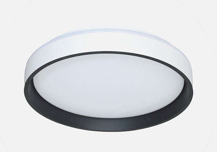 Minimalist Surface Mounted LED Ceiling Light 24W / 36W